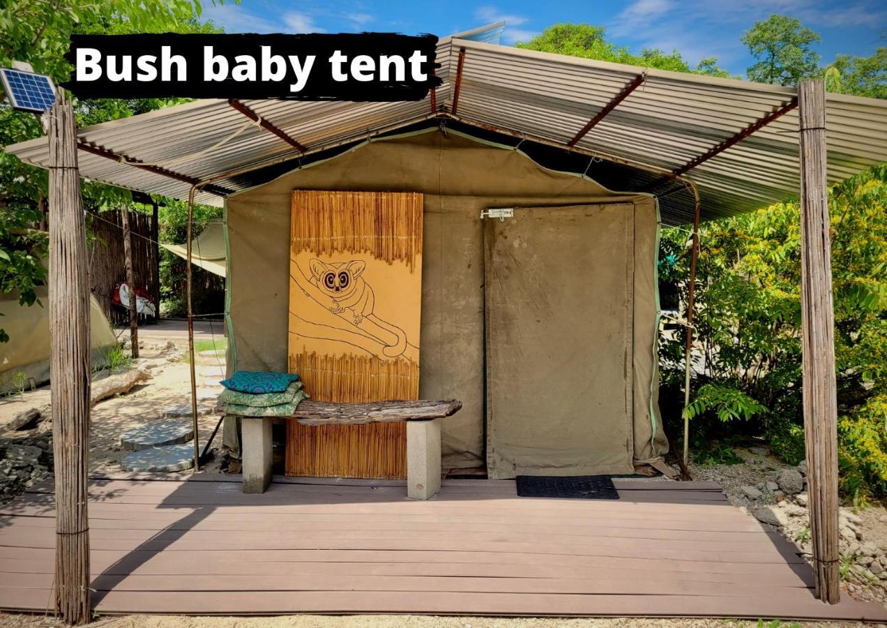 Albergue Eselbe Camp Backpackers Nata Exterior foto
